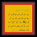 Said Shah Jvin de Dhab 01 * 22.03.2008 * 508 x 658 * (39KB)